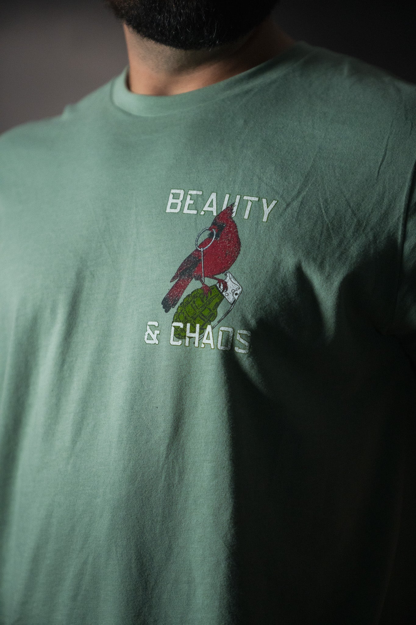 tango charlie - beauty and chaos 2.0 tee front on model