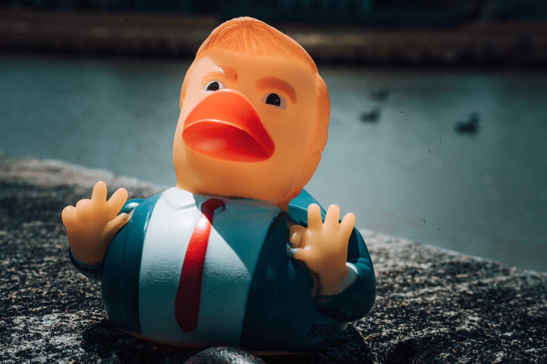 The Trump Duck out of the lake