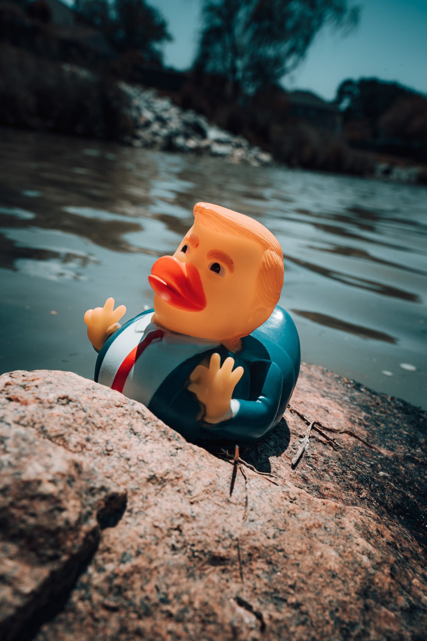 The Trump Duck at the lake