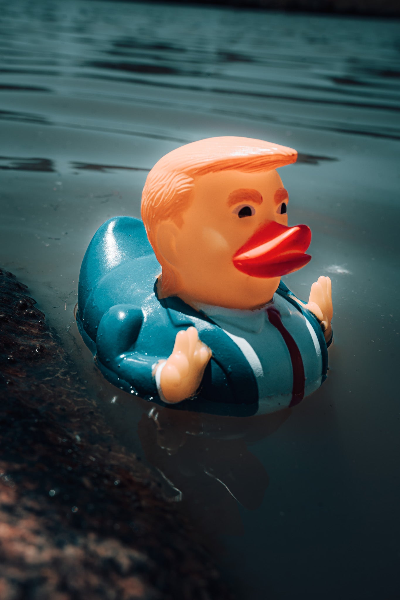 The Trump Duck in the lake