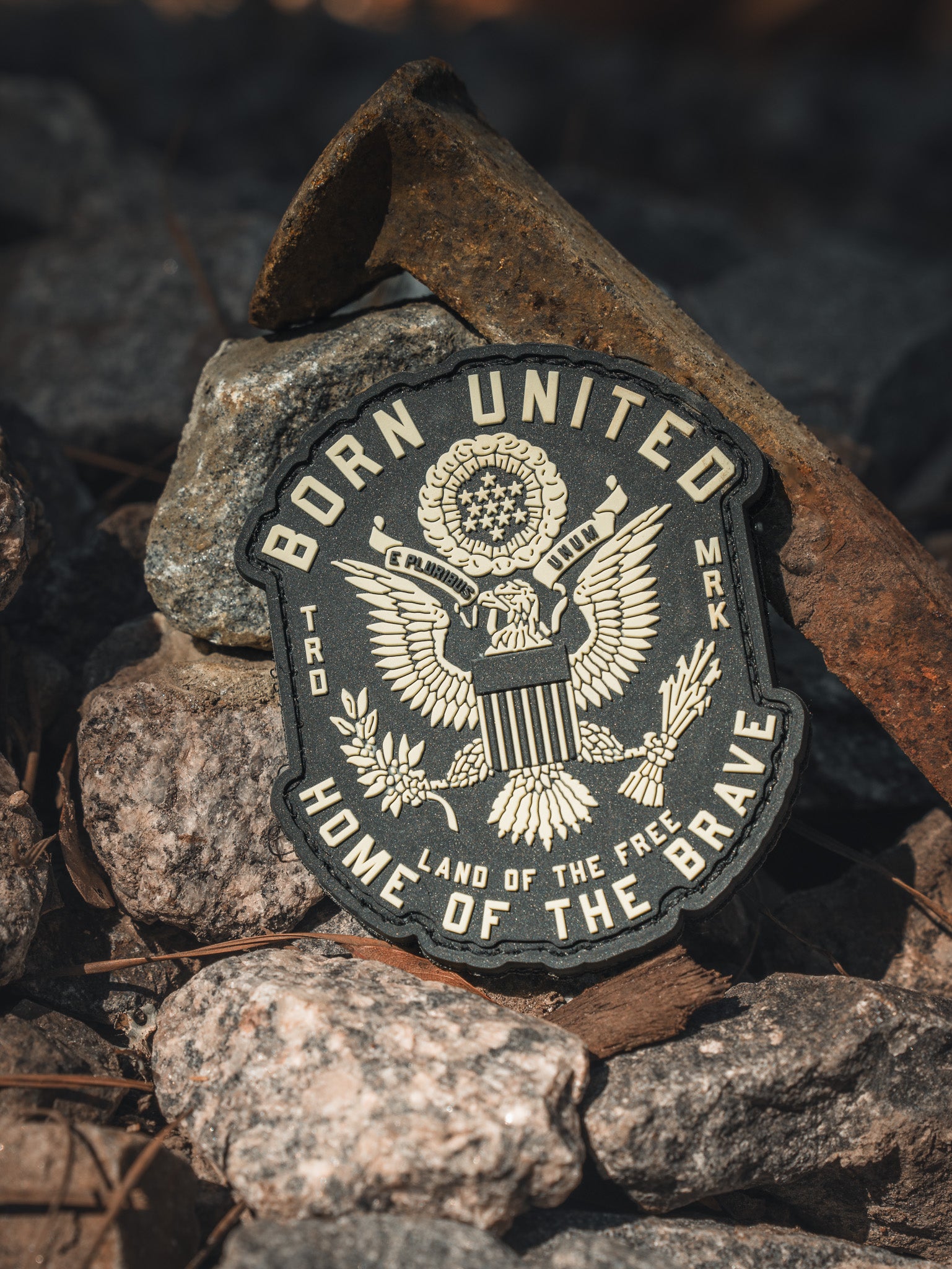 born united - e pluribus unum patch
