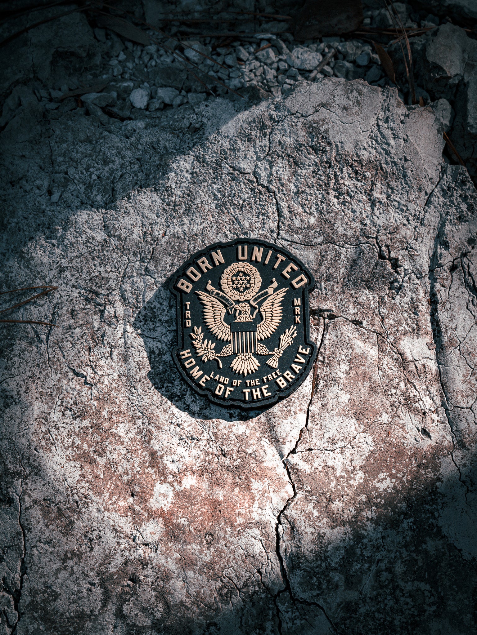 born united - e pluribus pvc patch