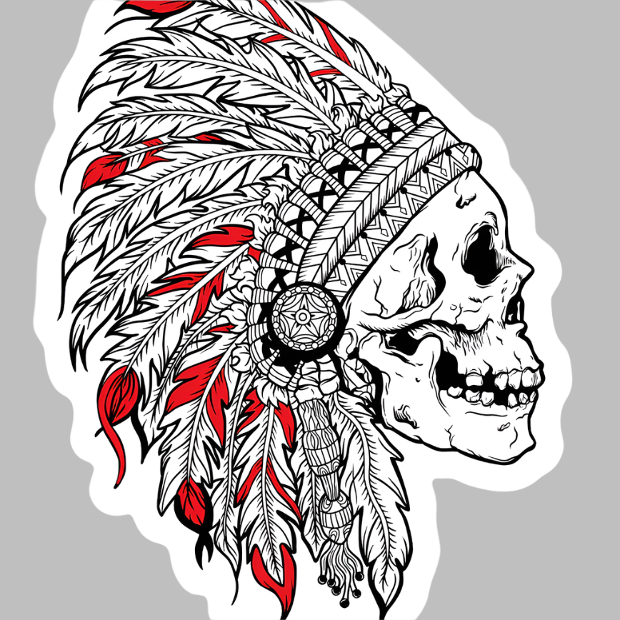 Illustration of a skull wearing a detailed tribal headdress with feathers. The feathers are primarily black and white, with some highlighted in red. The background is a simple gray.