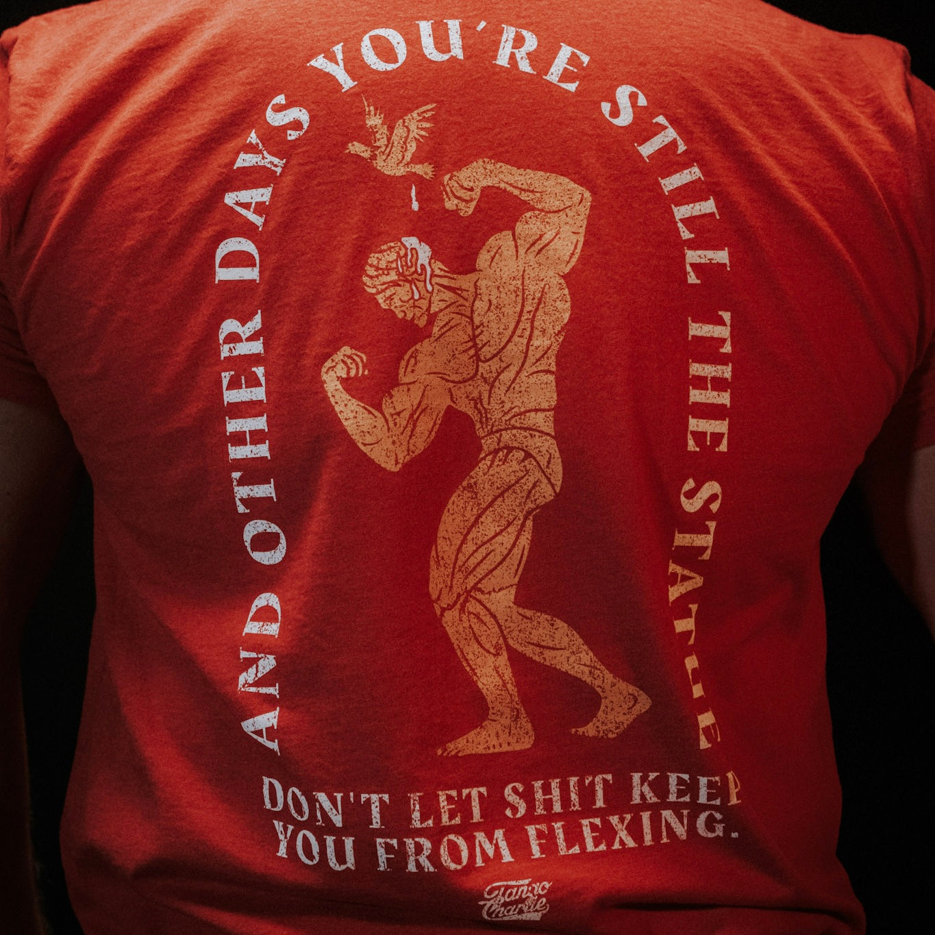 A person wears the "St. Arnold The Stoic" t-shirt by Tango Charlie Apparel—a red funny motivational tee with a flexing muscular figure and bird, captioned: “AND OTHER DAYS YOU’RE STILL THE STATUE. DON’T LET SHIT KEEP YOU FROM FLEXING.”.