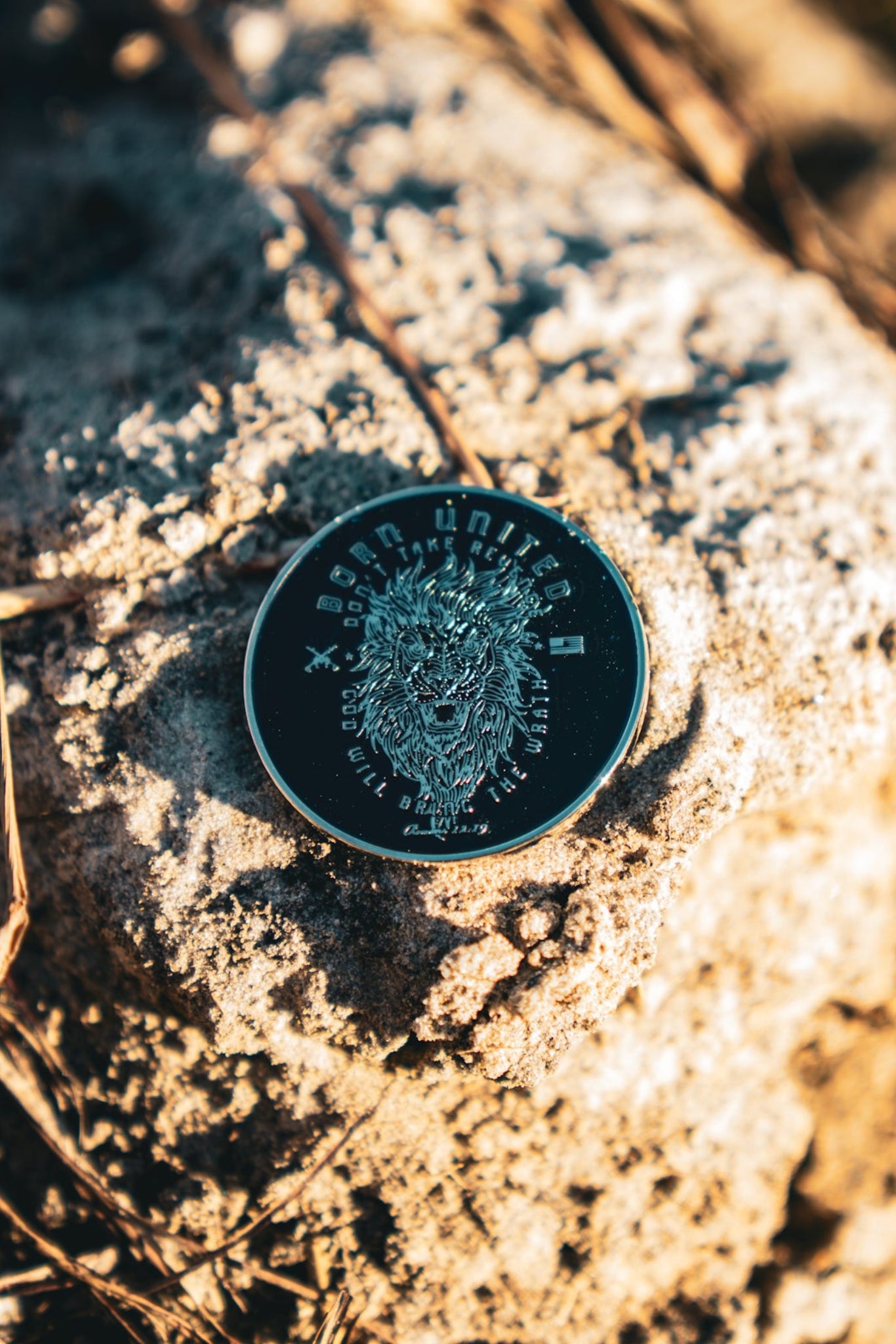 The Revenge Challenge Coin by Born United Private Label, with intricate black and silver designs, rests on a textured rock amidst dry grass. Bathed in warm sunlight, this scene perfectly captures an earthy and natural setting.