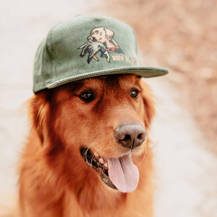 mucker bucket - good ol' boy embroidered dog corduroy hat