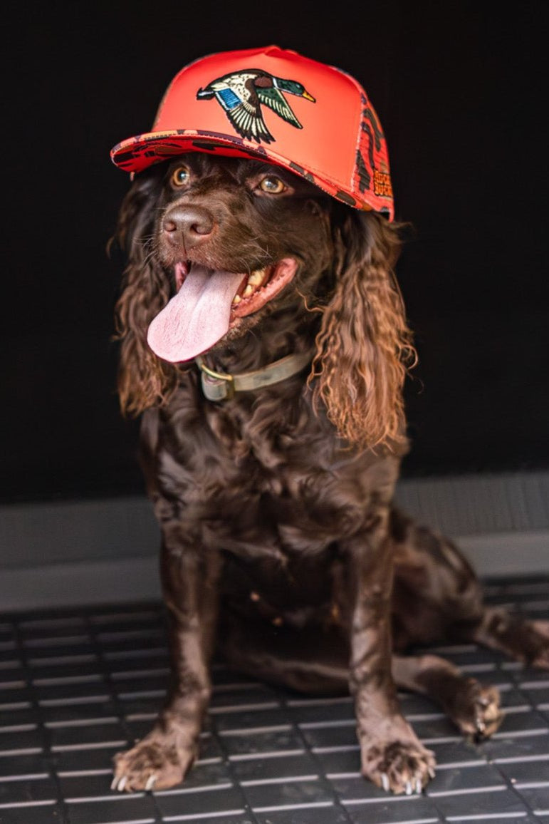 A playful brown dog with long ears sits on a mat, sporting the Mucker Bucket Mallard Orange Camo Trucker Bucket hat. Its tongue is out as it poses cheerfully against a dark background.